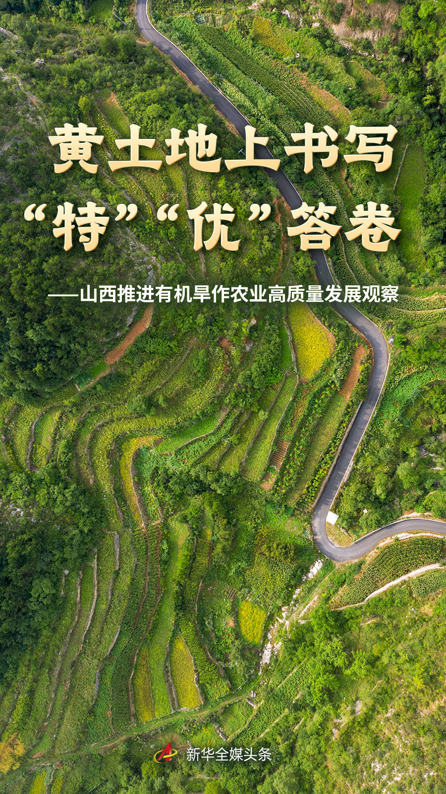 竞彩网